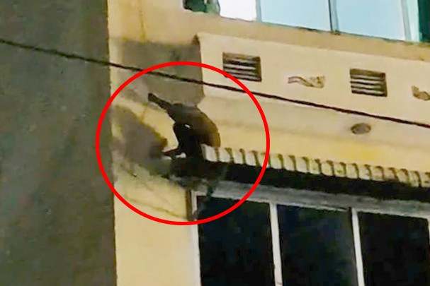 Đối tượng Tuấn trèo qua cửa sổ và núp trên mái che bằng tôn bên ngoài của khách sạn. Ảnh: A.X. Đối tượng Tuấn trèo qua cửa sổ và núp trên mái che bằng tôn bên ngoài của khách sạn. Ảnh: A.X.