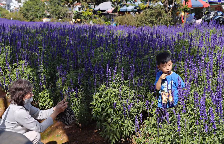 Nhiều du khách và người dân Đà Lạt cho biết cảm thấy thư thả, thú vị khi khi dạo chơi, chụp ảnh lưu niệm ở vườn hoa.