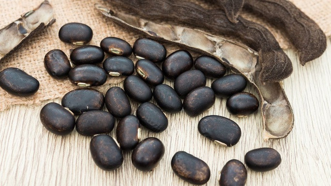Hạt cây đậu mèo phát huy tác động bất ngờ lên hệ thống sinh sản của quý ông (Ảnh minh họa từ Internet) Hạt cây đậu mèo phát huy tác động bất ngờ lên hệ thống sinh sản của quý ông (Ảnh minh họa từ Internet)