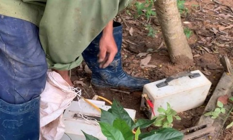 Người đàn ông dùng kích điện để bắt giun đất tại xã Đăk Tờ Re. Người đàn ông dùng kích điện để bắt giun đất tại xã Đăk Tờ Re.