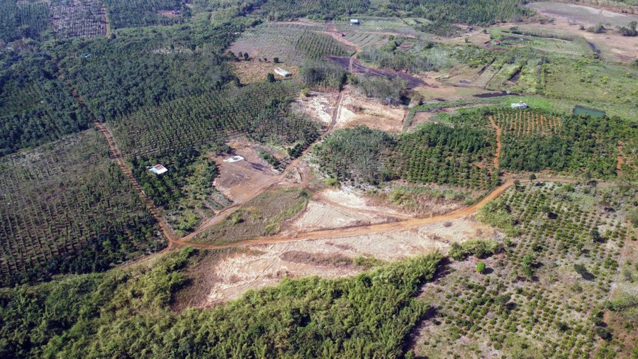 Rừng, đất rừng bị tàn phá, lấn chiếm tràn lan trên lâm phần được giao cho Công ty Cổ phần Basaltstone. (Ảnh: Minh Hưng/TTXVN) Rừng, đất rừng bị tàn phá, lấn chiếm tràn lan trên lâm phần được giao cho Công ty Cổ phần Basaltstone. (Ảnh: Minh Hưng/TTXVN)