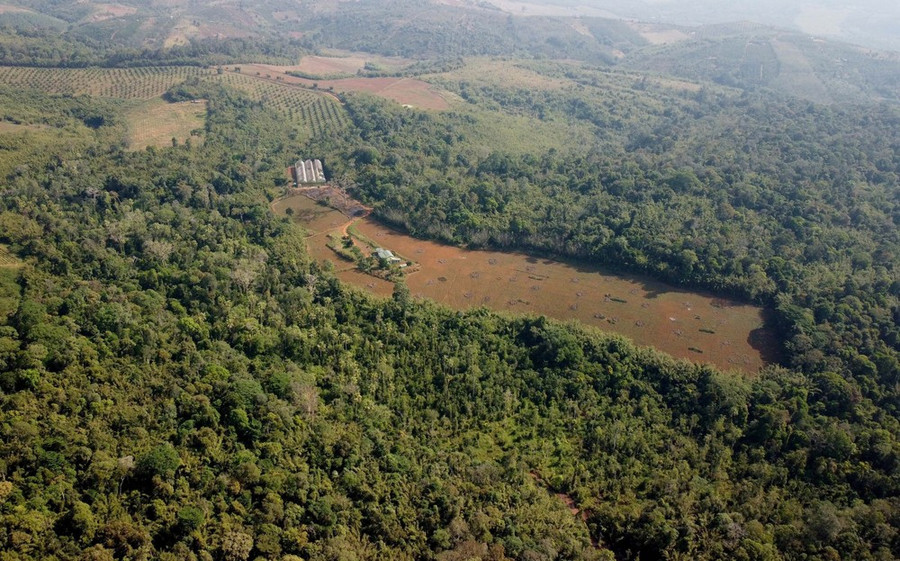 Một khoảnh rừng bị cạo trọc. (Ảnh: Minh Hưng/TTXVN) Một khoảnh rừng bị cạo trọc. (Ảnh: Minh Hưng/TTXVN)