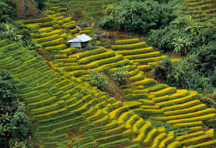 Với địa hình hiểm trở, cộng với bàn tay khéo léo của con người đã tạo nên khung cảnh đẹp tuyệt vời.