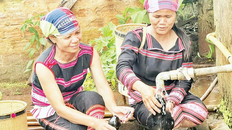 Quả bầu khô là một trong những vật dụng không thể thiếu trong sinh hoạt hằng ngày của người dân Tây Nguyên.