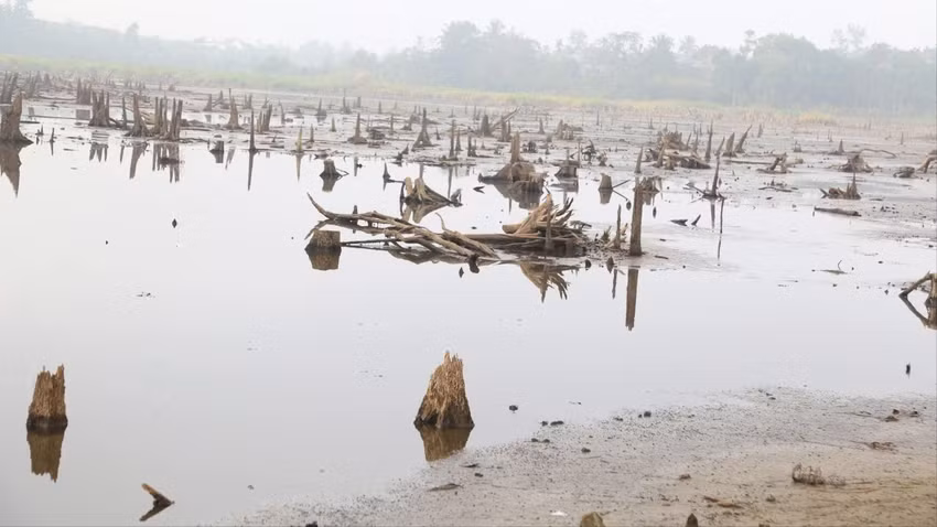 Một hồ nước tại huyện Đắk Mil đã khô cạn. Ảnh: L.P