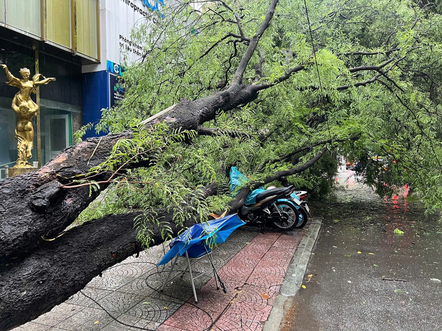 Hiện trường vụ việc Hiện trường vụ việc