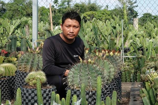 Khởi nghiệp với xương rồng, anh Thái Đắc Trọng có nguồn thu nhập hơn 500 triệu đồng/năm. Ảnh DUY TÂN Khởi nghiệp với xương rồng, anh Thái Đắc Trọng có nguồn thu nhập hơn 500 triệu đồng/năm. Ảnh DUY TÂN