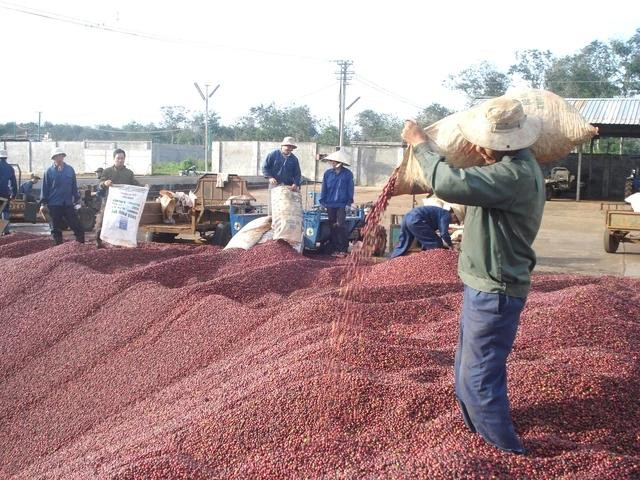 Cà phê là mặt hàng xuất khẩu truyền thống của Đắk Lắk. Cà phê là mặt hàng xuất khẩu truyền thống của Đắk Lắk.