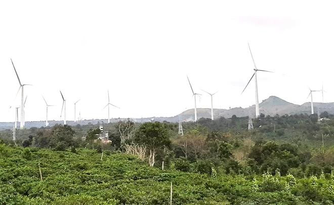 Điện gió, điện mặt trời phát triển trên vùng chuyên canh cà phê Đắk Lắk Điện gió, điện mặt trời phát triển trên vùng chuyên canh cà phê Đắk Lắk
