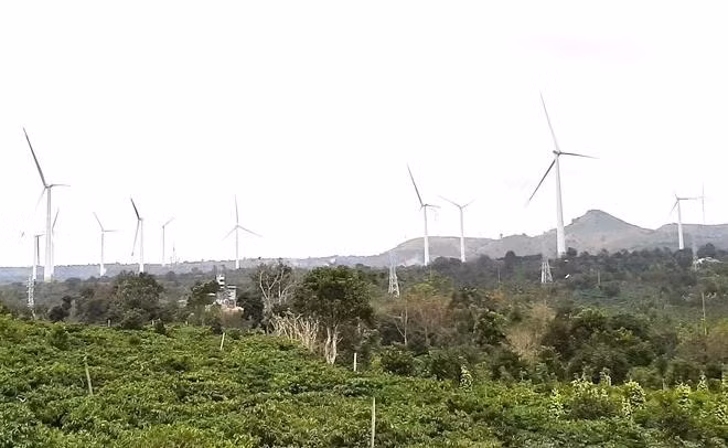 Điện gió, điện mặt trời phát triển trên vùng chuyên canh cà phê Đắk Lắk