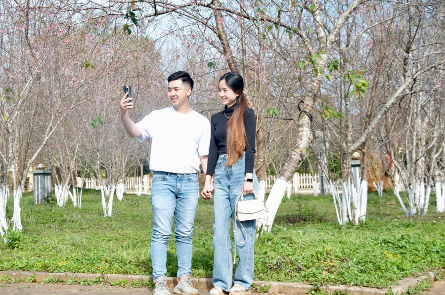 Đôi bạn trẻ thích thú check-in bên những gốc hoa đầu tiên nở. Đôi bạn trẻ thích thú check-in bên những gốc hoa đầu tiên nở.