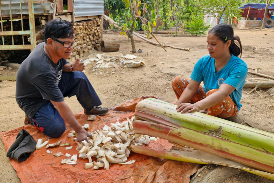 Vợ chồng ông Kpuih Phan cắt chuối cho bò ăn. Ảnh: T.T Vợ chồng ông Kpuih Phan cắt chuối cho bò ăn. Ảnh: T.T