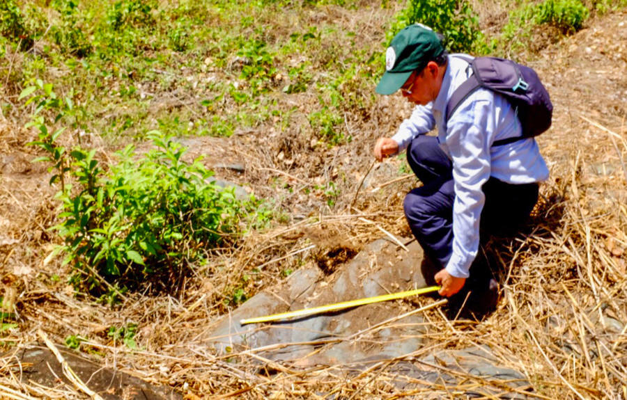 Điểm tham quan tại bãi đá dấu chân Nai hóa thạch. Ảnh: HT Điểm tham quan tại bãi đá dấu chân Nai hóa thạch. Ảnh: HT