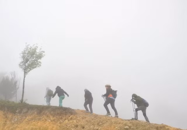 Đường vào rừng trà lúc mây mù ập đến. Ảnh: THIÊN Ý