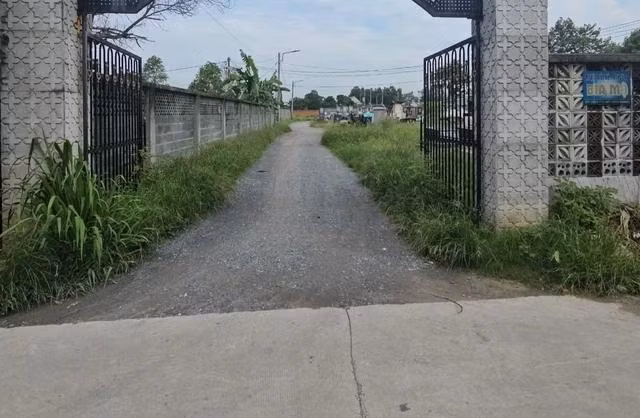 Nghĩa trang nơi Bích cất giấu bình xyanua và cũng là nơi 5 người thân của Bích được chôn cất sau khi chết. ẢNH: LÊ LÂM