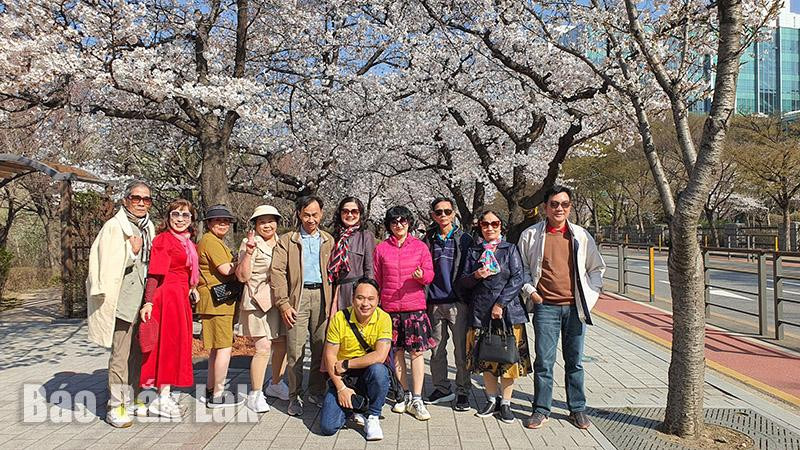 Công viên Yeouido Hagang (thủ đô Seoul, Hàn Quốc).