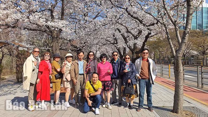 Công viên Yeouido Hagang (thủ đô Seoul, Hàn Quốc).