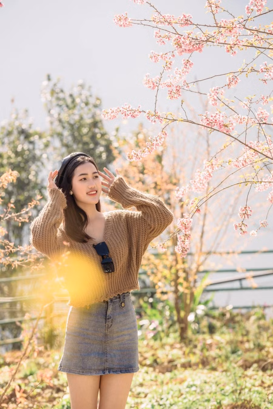 Du khách check-in với hoa anh đào tại đồi Mường Hoa