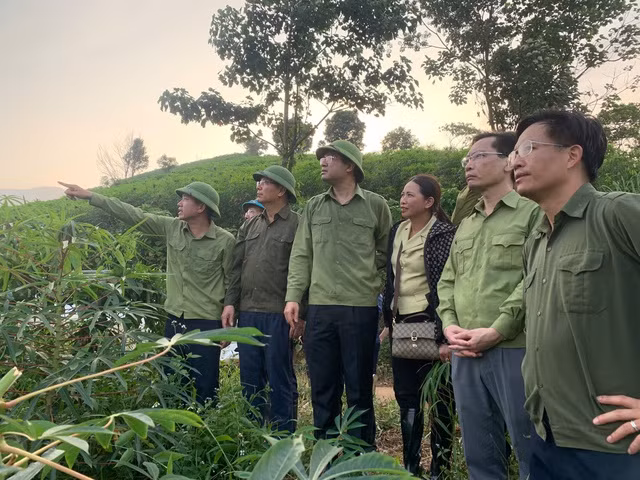 Lãnh đạo tỉnh Lào Cai khảo sát địa điểm để xây dựng khu tái định cư cho 40 hộ dân bị lũ quét cuốn trôi nhà ở thôn Làng Nủ.