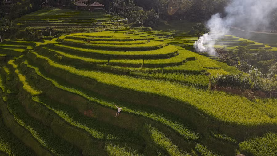 Tỉnh giấc giữa thung lũng xanh mượt, du khách có thể hít hà không khí mát lành buổi sáng, xen lẫn trong gió là hương lúa chín từ những thửa ruộng bậc thang. Ảnh: Pù Luông Retreat