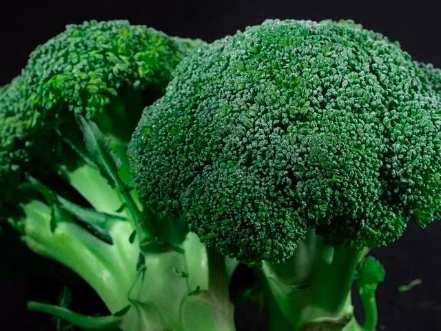 Bông cải xanh không chỉ giúp ngăn ngừa ung thư mà còn hỗ trợ giảm cân rất tốt. Ảnh Ảnh: PEXELS Bông cải xanh không chỉ giúp ngăn ngừa ung thư mà còn hỗ trợ giảm cân rất tốt. Ảnh Ảnh: PEXELS