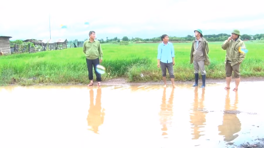 Khi thiên tai diễn biến phức tạp, lãnh đạo Huyện ủy, UBND huyện và Ban Chỉ huy PCTT-TKCN trực tiếp xuống cơ sở để chỉ đạo, hướng dẫn công tác ứng phó. Ảnh: N.H