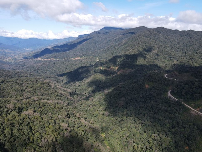 Khu Bảo tồn thiên nhiên Ngọc Linh nhìn từ trên cao. Ảnh: Ngọc Oanh Khu Bảo tồn thiên nhiên Ngọc Linh nhìn từ trên cao. Ảnh: Ngọc Oanh