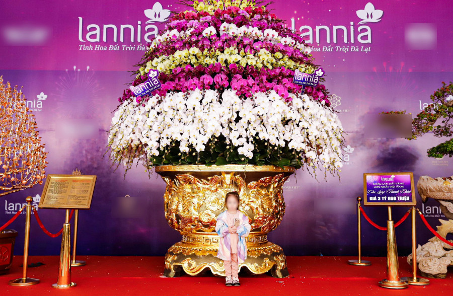 Chậu hoa lan cao khoảng 4 m, tán rộng gần 2 m được rao bán 3,8 tỉ đồng. Ảnh: ĐÌNH HUY Chậu hoa lan cao khoảng 4 m, tán rộng gần 2 m được rao bán 3,8 tỉ đồng. Ảnh: ĐÌNH HUY