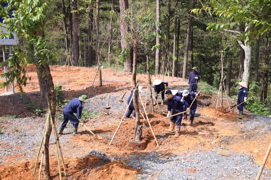Trong sáng nay, đã có 2.750 cây xanh được trồng trên địa bàn TP Đà Lạt