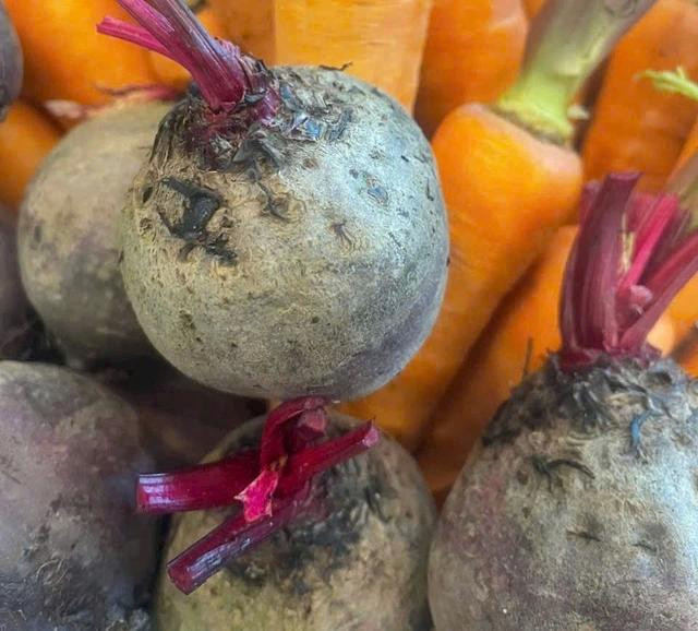 Củ dền có chứa hàm lượng cao oxalate. Ảnh LÊ CẦM Củ dền có chứa hàm lượng cao oxalate. Ảnh LÊ CẦM