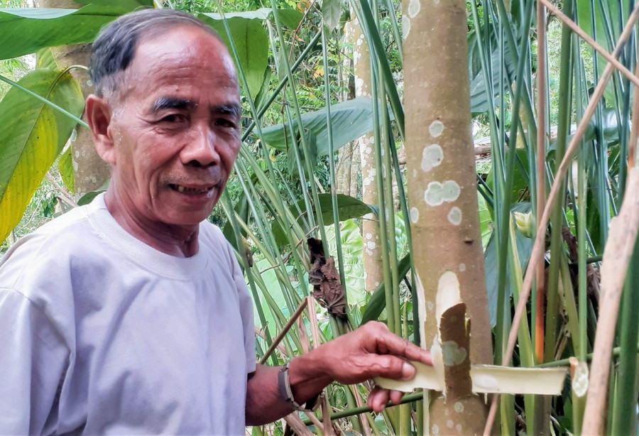 Già Alăng Đàn khẳng định tục pagang kala vẫn tồn tại trong cộng đồng vùng cao. Ảnh: ĐĂNG NGUYÊN