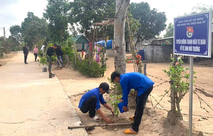 Đoàn viên, thanh niên thị trấn Đak Pơ trồng cây xanh trên tuyến đường làng Hven. Ảnh: Vi Tình Đoàn viên, thanh niên thị trấn Đak Pơ trồng cây xanh trên tuyến đường làng Hven. Ảnh: Vi Tình