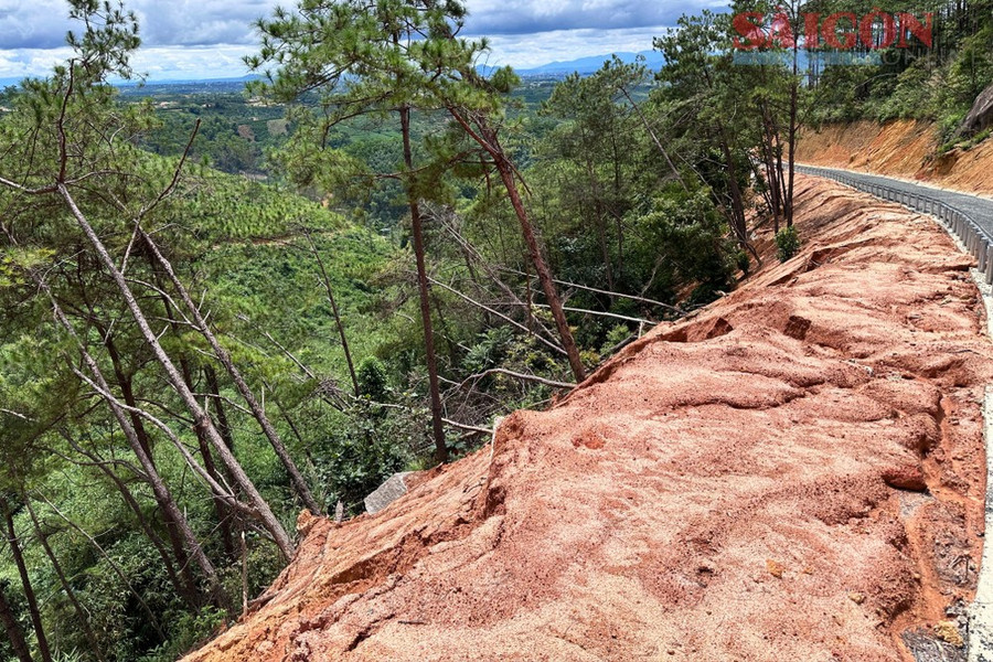 Quá trình xây dựng đường lên khu lưu trữ rác, lượng lớn đất đá được san gạt xuống khu vực taluy âm làm nhiều cây rừng bị chết. Ảnh: ĐOÀN KIÊN