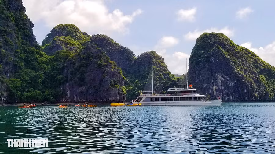 Du thuyền neo tàu trên vịnh Lan Hạ để du khách trải nghiệm chèo thuyền kayak. Ảnh: GIANG LINH