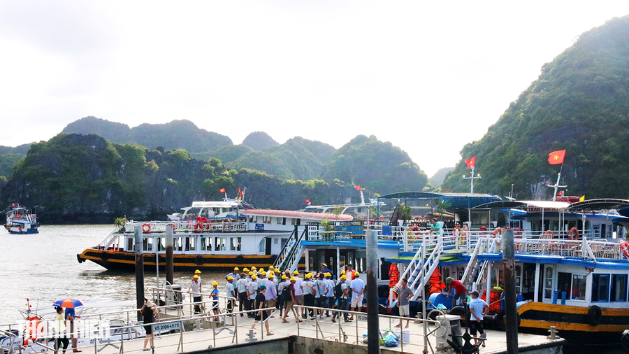 Ngắm vẻ đẹp quần đảo Cát Bà vừa trở thành Di sản thiên nhiên thế giới - Ảnh 4. Bến Bèo hiện là 1 trong 2 bến tổ chức hoạt động đưa đón khách du lịch tham quan vịnh Lan Hạ tại quần đảo Cát Bà cùng với bến tàu Gia Luận. Ảnh: GIANG LINH