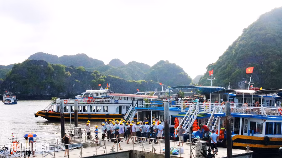 Bến Bèo hiện là 1 trong 2 bến tổ chức hoạt động đưa đón khách du lịch tham quan vịnh Lan Hạ tại quần đảo Cát Bà cùng với bến tàu Gia Luận. Ảnh: GIANG LINH