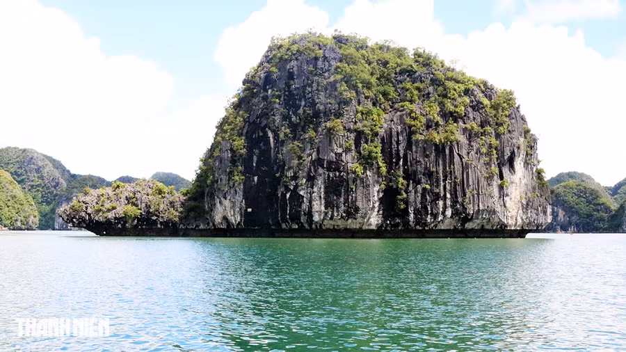 Hòn con Rùa trên vịnh Lan Hạ được mệnh danh là "cụ rùa hóa thạch lớn nhất Việt Nam". Ảnh: GIANG LINH