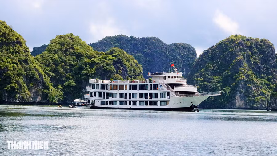 Du thuyền 5 sao đưa khách du lịch tham quan vịnh Lan Hạ. Ảnh: GIANG LINH