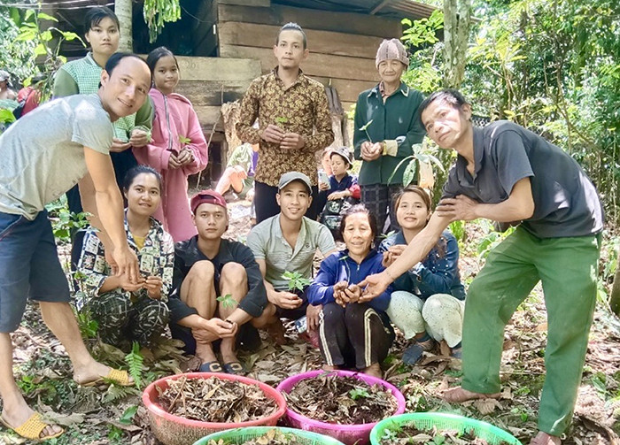 Ông Hồ Văn Bim (bìa phải) tặng sâm giống cho bà con. Ông Hồ Văn Bim (bìa phải) tặng sâm giống cho bà con.