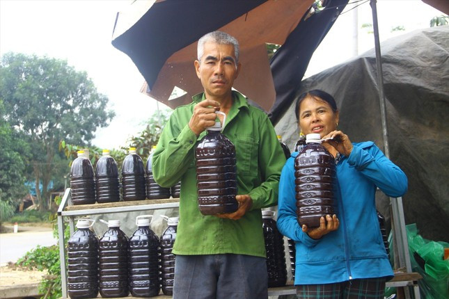 Mật sẽ được người dân đóng can rồi tiêu thụ khắp các tỉnh, thành. Mật sẽ được người dân đóng can rồi tiêu thụ khắp các tỉnh, thành.