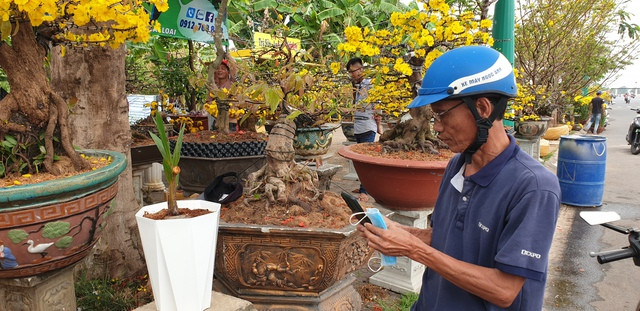 Thấy cây dừa lạ, người dân đến xem và chụp ảnh. Ảnh: G.B