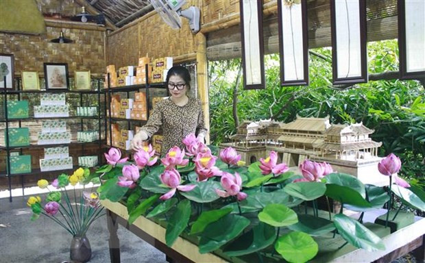 Các sản phẩm từ sen được trưng bày tại Công ty Cổ phần sản xuất, xuất nhập khẩu và thương mại dịch vụ Hali (Ninh Bình). (Ảnh: Thùy Dung/TTXVN)