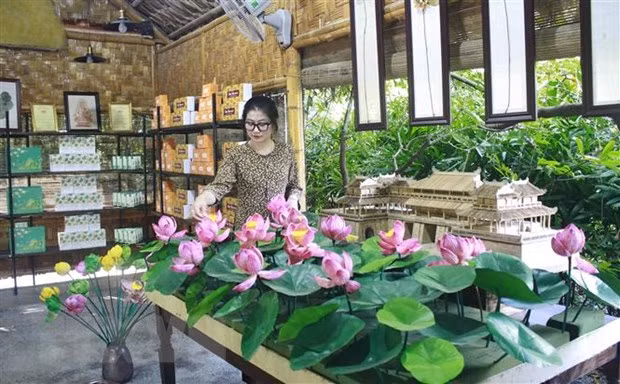 Các sản phẩm từ sen được trưng bày tại Công ty Cổ phần sản xuất, xuất nhập khẩu và thương mại dịch vụ Hali (Ninh Bình). (Ảnh: Thùy Dung/TTXVN)