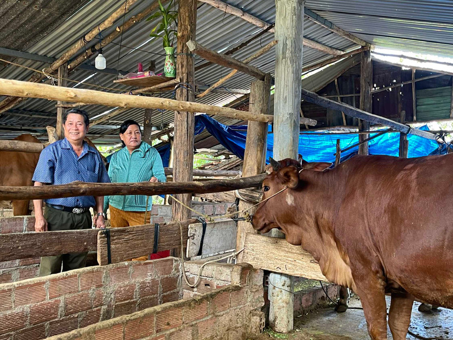 Ông Chu Văn Định-Chủ tịch Hội NNCĐDC/dioxin huyện Kbang tìm hiểu mô hình chăn nuôi của gia đình ông Huỳnh Minh Chính (thôn 3, xã Nghĩa An). Ảnh: M.N Ông Chu Văn Định-Chủ tịch Hội NNCĐDC/dioxin huyện Kbang tìm hiểu mô hình chăn nuôi của gia đình ông Huỳnh Minh Chính (thôn 3, xã Nghĩa An). Ảnh: M.N