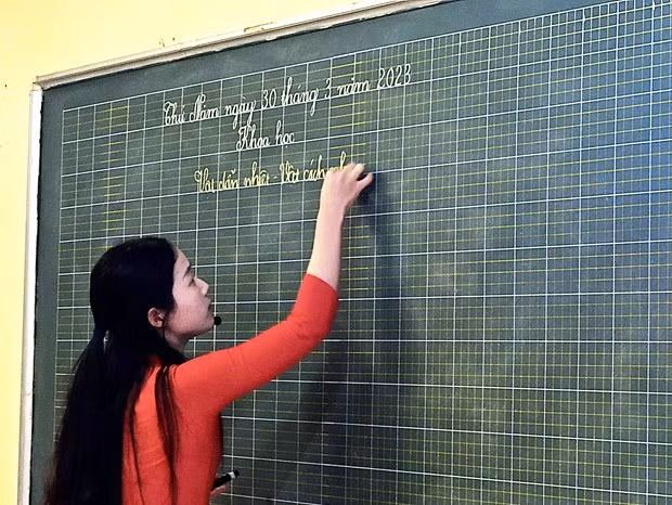 Chỉ tiêu đặt hàng đào tạo của các địa phương thấp so với nhu cầu thực tế. (Ảnh: PM/Vietnam+)