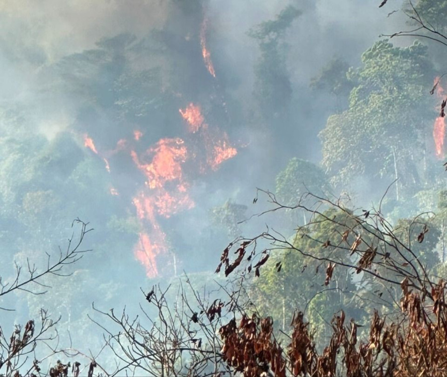 Thời tiết khô hanh kéo dài tại TP Bảo Lộc khiến cho công tác khống chế các đám cháy rừng gặp nhiều khó khăn.
