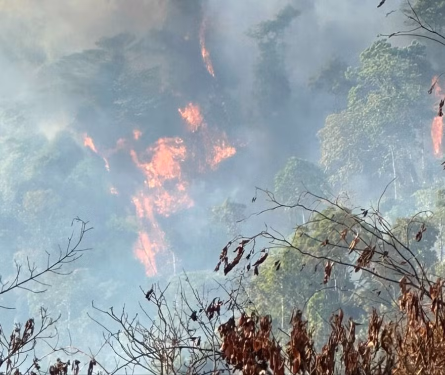 Thời tiết khô hanh kéo dài tại TP Bảo Lộc khiến cho công tác khống chế các đám cháy rừng gặp nhiều khó khăn.