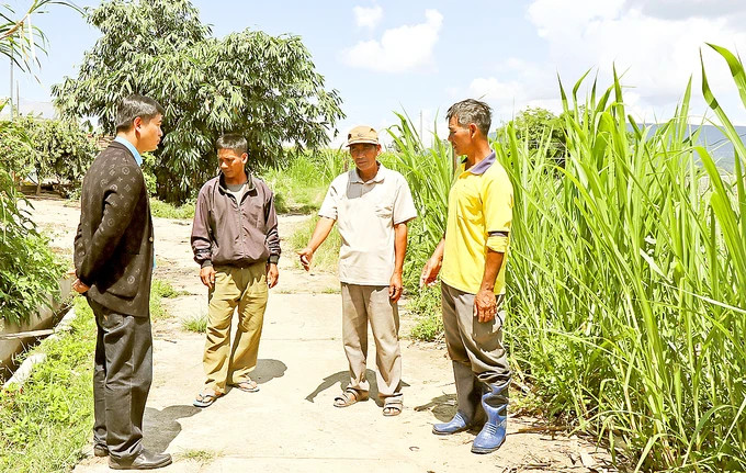 Ông Ma Ren (thứ hai từ phải qua), xã Ka Đô, huyện Đơn Dương, tỉnh Lâm Đồng, là người tiên phong đưa mô hình sản xuất mới về địa phương. Ảnh: ĐOÀN KIÊN Ông Ma Ren (thứ hai từ phải qua), xã Ka Đô, huyện Đơn Dương, tỉnh Lâm Đồng, là người tiên phong đưa mô hình sản xuất mới về địa phương. Ảnh: ĐOÀN KIÊN