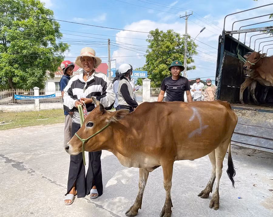Chị Nay H’Lới (buôn Hiao) phấn khởi nhận bò hỗ trợ. Ảnh: N.H