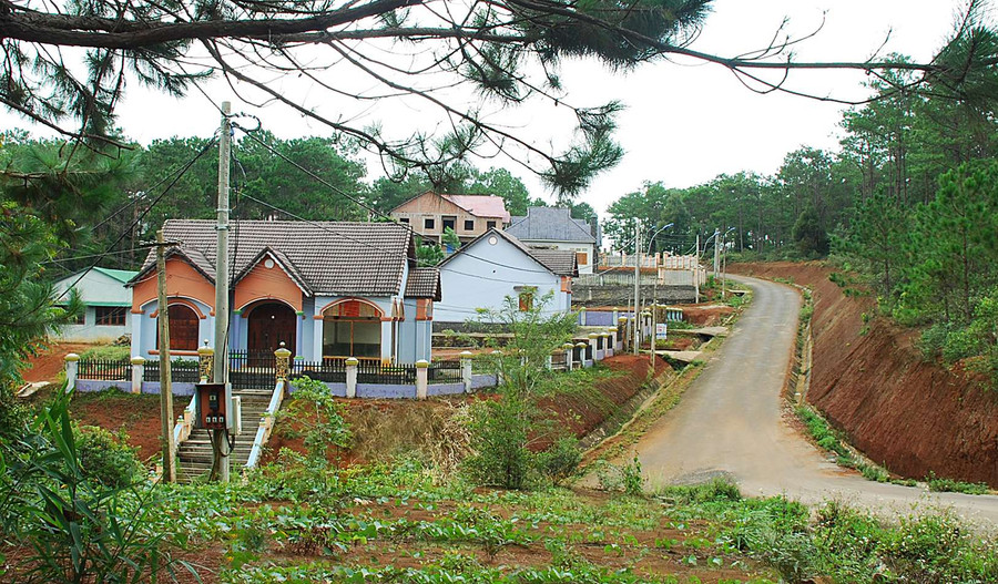 Những con đường nối phố với rừng ở Măng Đen. Ảnh: HL